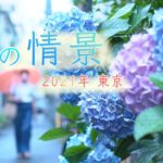 【カメラマン厳選】東京 雨の情景…コロナ禍 2回目の梅雨　テレ朝カメラマンが雨の東京をスケッチ (2021年7月16日)