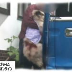 犬襲撃のクマに“前科”　DNAから過去判明