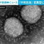 感染者の中和抗体　変異ウイルスにも一定効果(2021年7月6日)