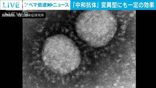 感染者の中和抗体　変異ウイルスにも一定効果(2021年7月6日)