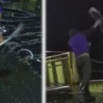 違法中国船、禁止手法 サメのひれだけ入手