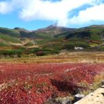 登山者を出迎える草紅葉　北海道・旭岳