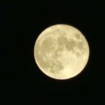 【Live】六本木ヒルズ展望台から「中秋の名月」