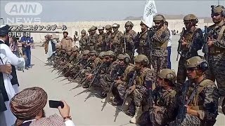 「私たちを救って」アフガン日本大使館の現地職員(2021年9月1日)