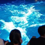 うずしおナイトクルーズ始まる