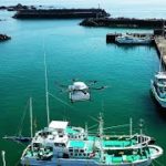 カツオ、ドローンで空を飛ぶ