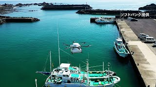 カツオ、ドローンで空を飛ぶ