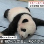 「未来へ明るさを」　双子パンダの名前に込めた思い(2021年10月9日)