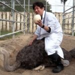 不登校→工場勤務→学長　ダチョウ博士に聞く　鳥それぞれな生き方