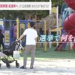 衆院解散 投票で何を問う？【news23】