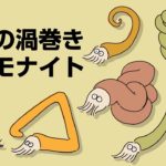 魅惑の渦巻きアンモナイト