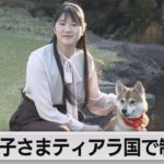 愛子さまティアラ　国の予算で今後制作も検討（2021年11月18日）