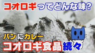食糧難を救うのはコオロギ！パンにカレー、コオロギ食品って？？【マスクにゃんニュース】