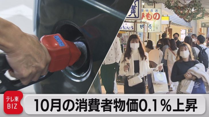 消費者物価指数 ２ヵ月連続プラス（2021年11月19日）