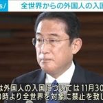 外国人入国あすから禁止へ　オミクロン株“急拡大”(2021年11月29日)