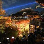清水寺夜間特別拝観　境内の紅葉鮮やかに