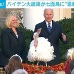 米　バイデン大統領が七面鳥に“恩赦”就任後初　(2021年11月20日)