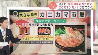 超進化！まるでホンモノ・・・驚きの最新カニカマ(2021年11月26日)