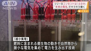ツリーを輝かせるのは・・・生ごみから作った有機肥料(2021年12月3日)