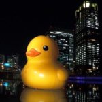 おかえり、ラバー・ダック　7年ぶり冬の中之島に浮かぶ