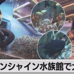 サンシャイン水族館で大掃除（2021年12月13日）