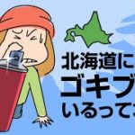 北海道にゴキブリがいるって本当？