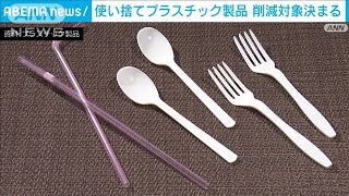 使い捨てプラスチック商品　削減対象決まる(2022年1月15日)