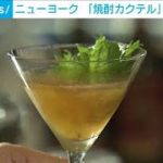焼酎がNYバーでカクテルに変身！(2022年2月11日)