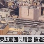 関東 雪の影響で交通に乱れ（2022年2月11日）