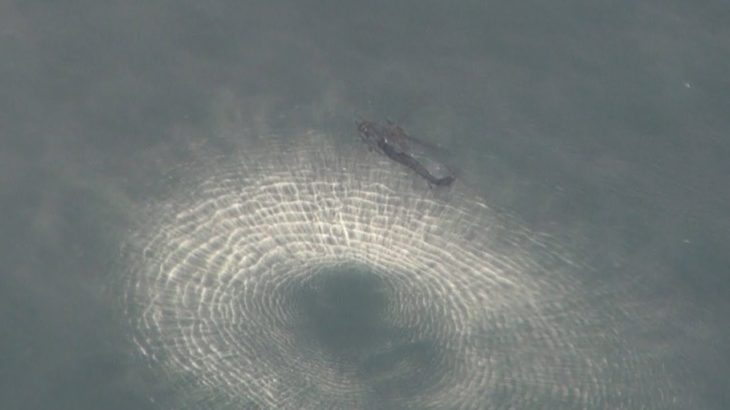 航空自衛隊のF15戦闘機が消息不明　防衛省や海上保安庁が捜索