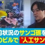 人工サンゴ礁で　海の未来を救う　高倉葉太(2022年2月5日)