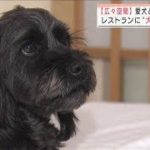 犬向けメニューも充実　都心ホテルに愛犬とお泊まり(2022年2月24日)