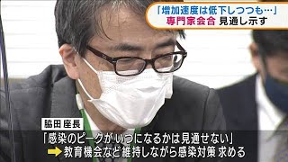 厚労省　専門家会合「増加速度は鈍化しつつも・・・」(2022年2月3日)