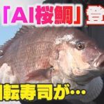 くら寿司の新ネタはAI桜鯛！スマート養殖で進化する回転寿司【マスクにゃんニュース】