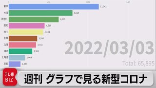 週刊 グラフで見る新型コロナ（2022年3月4日）