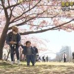 5月並み・・・25℃以上も　関東甲信で今年初の夏日か(2022年3月14日)