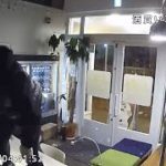 福岡市の酒買い取り店に侵入する高級酒窃盗団