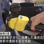 岸田総理　対策策定を指示　原油・原材料価格高騰に(2022年3月29日)
