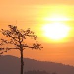 東日本大震災から11年　陸前高田の一日を追った