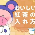 【マンガ動画】自宅で紅茶を楽しもう　入れ方や産地を聞いてみた