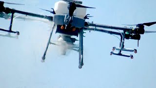 かまれるとかゆい「ヌカカ」対策　ドローンで石灰散布