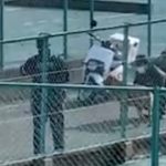 【確保の瞬間】130センチの大型犬が逃亡　13時間半後に飼い主が確保