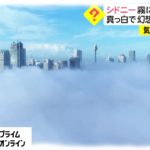 シドニー霧に覆われる　真っ白で幻想的…ところが