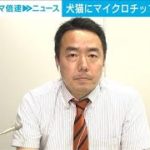 【解説】犬猫にチップ義務化　“期待と課題”　テレビ朝日社会部　川崎豊記者【ABEMA NEWS】(2022年5月31日)