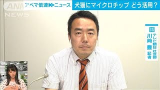 【解説】犬猫にチップ義務化　“期待と課題”　テレビ朝日社会部　川崎豊記者【ABEMA NEWS】(2022年5月31日)