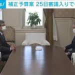 今年度の補正予算案　25日審議入りで与野党合意(2022年5月18日)