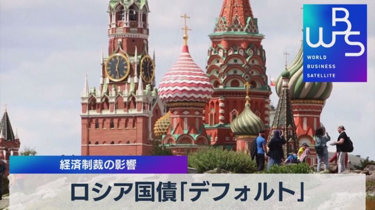 ロシア国債「デフォルト」 経済制裁の影響【WBS】（2022年6月27日）