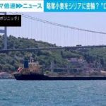 【解説】ロシアが小麦密輸？“船のサイト”で追跡！　テレビ朝日社会部　西井紘輝記者【ABEMA NEWS】(2022年6月14日)