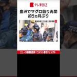 新型コロナの感染拡大で中止となっていた東京・豊洲市場のマグロの競りの見学がおよそ５ヵ月ぶりに再開されました。（2022年6月2日）＃Shorts