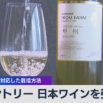 サントリー「日本ワイン」の新ブランド発表【WBS】（2022年6月8日）